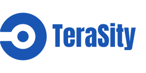 TeraSity - Lifelong Degrees